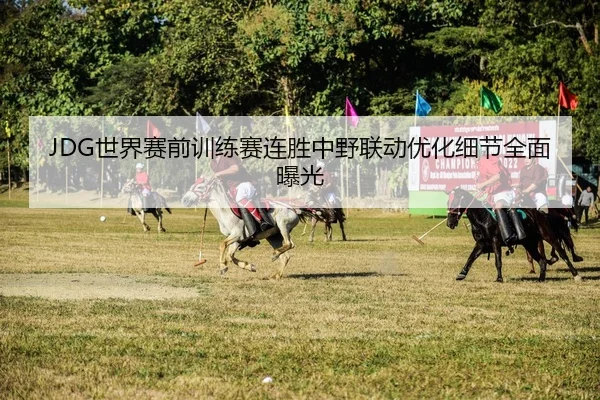 JDG世界赛前训练赛连胜中野联动优化细节全面曝光（kayuin）